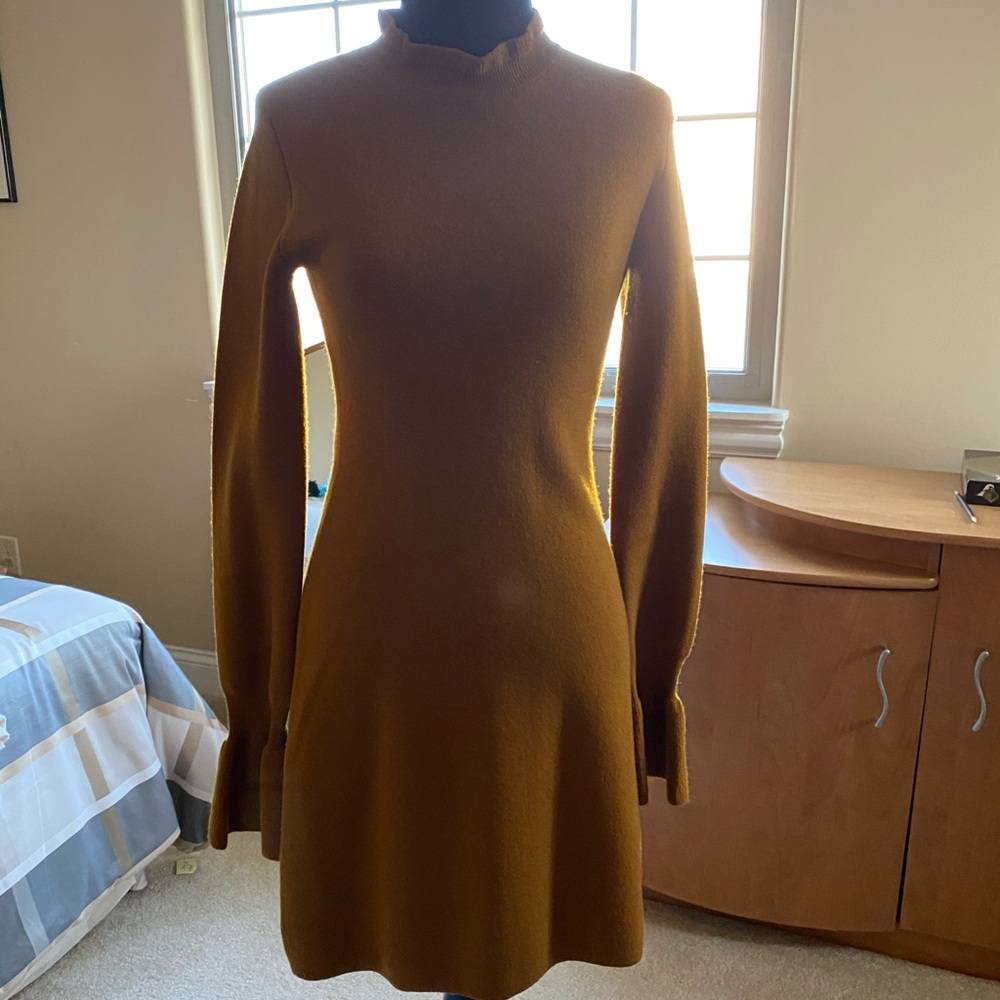 Wilfred dress!